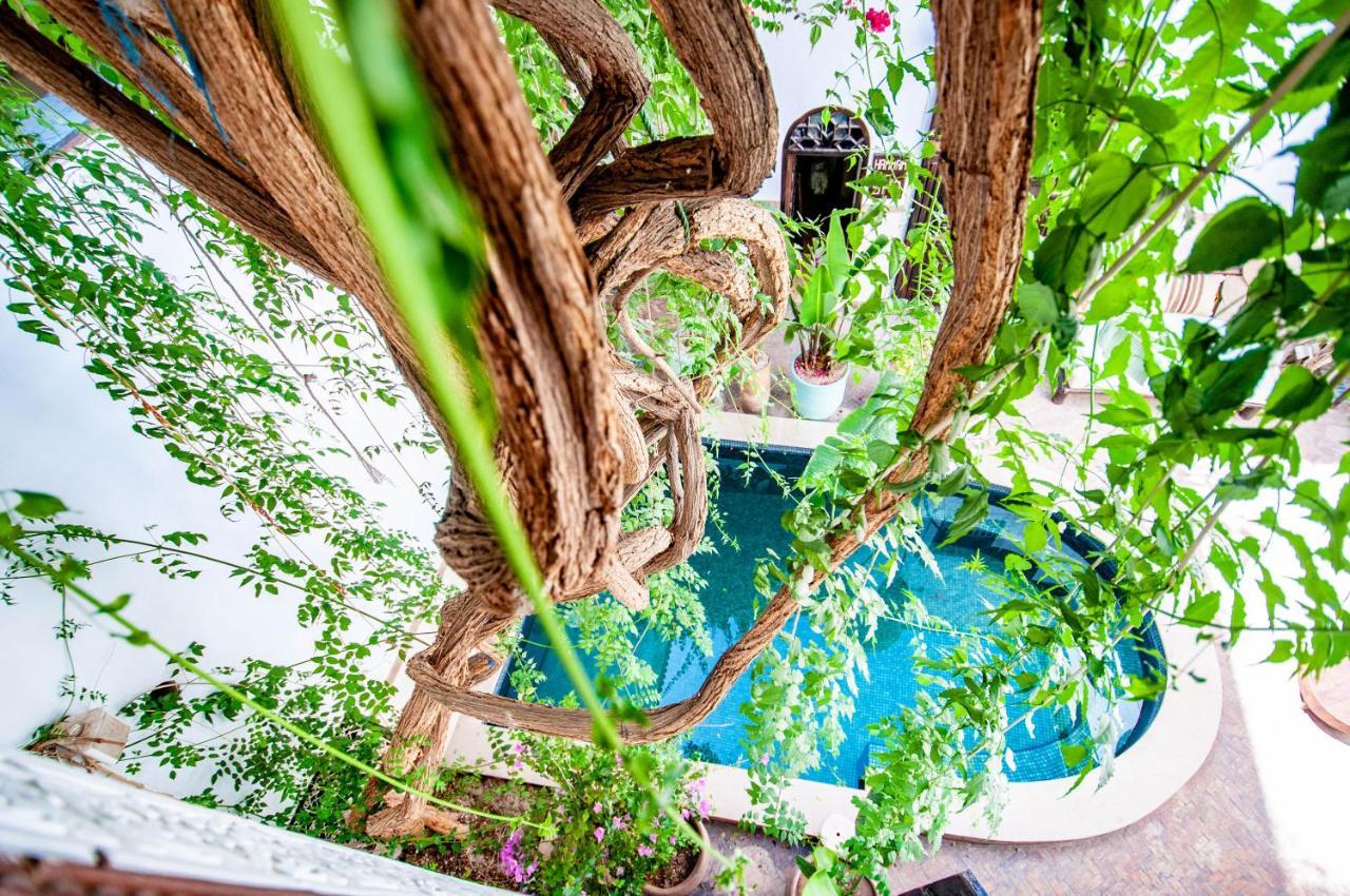 Hotel & Spa Riad Dar El Aila Marrakesh Bagian luar foto
